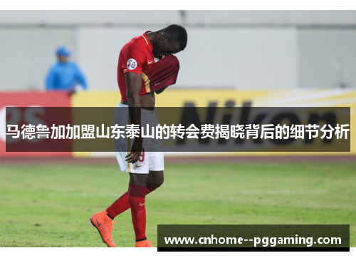 马德鲁加加盟山东泰山的转会费揭晓背后的细节分析